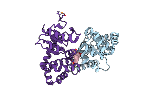 7L7C image