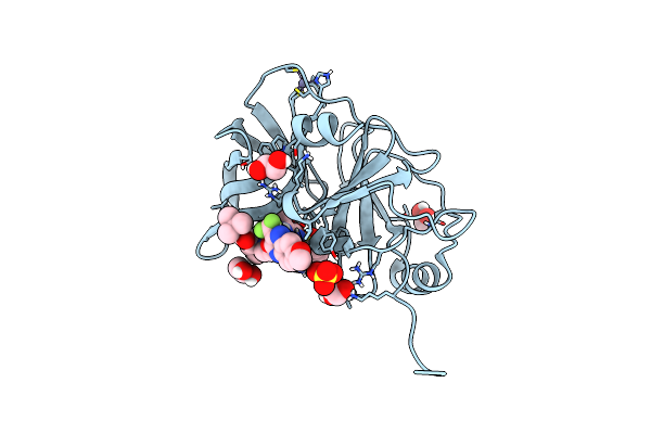 7L7P image