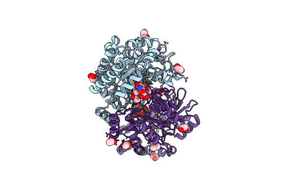 7L7X image