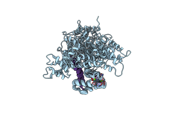 7L8V image