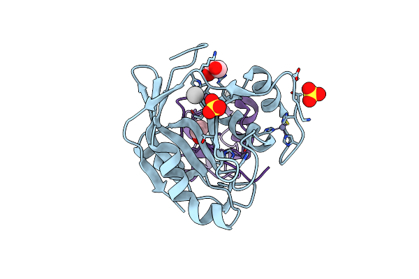 7L97 image