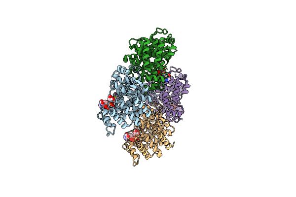 7L9I image