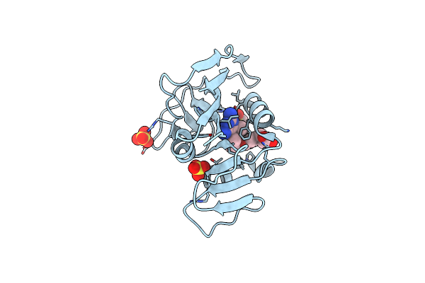 7L9T image