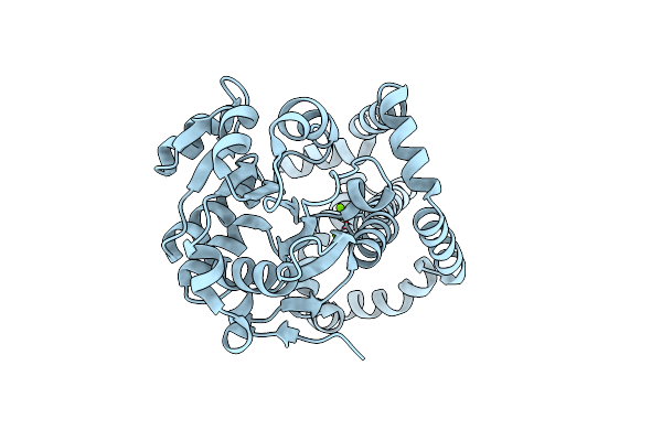 7LAT image