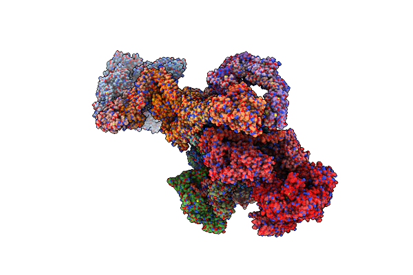 7LBM image