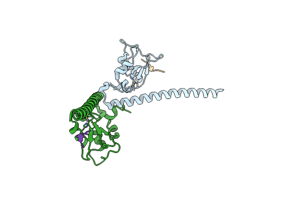 7LBO image