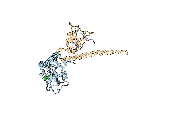 7LBP image