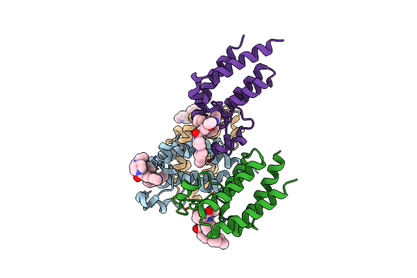 7LBT image