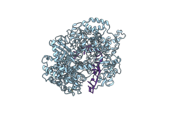 7LCC image