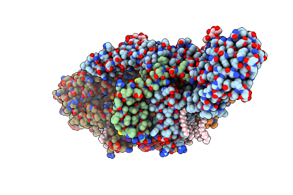 7LCH image