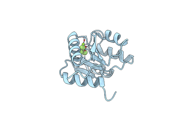 7LCM image