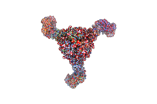 7LCN image