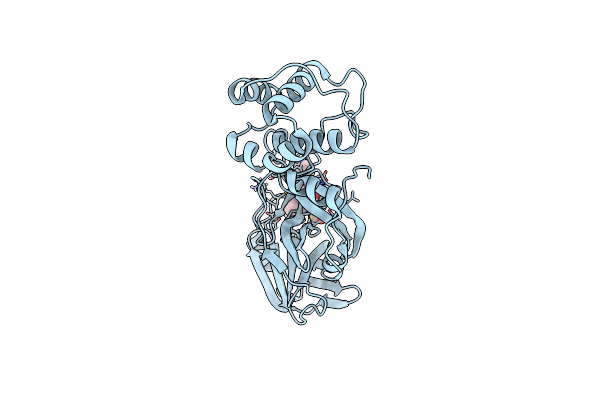 7LCO image