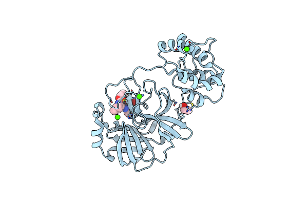 7LCP image