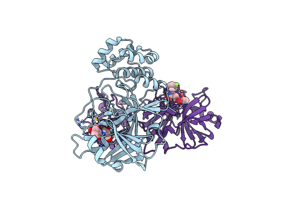 7LCR image