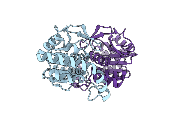 7LCX image