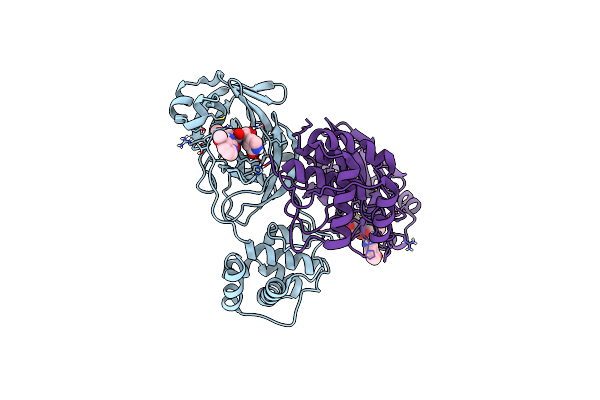 7LDL image