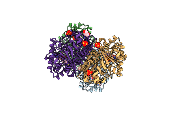 7LDW image