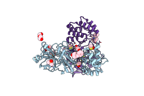 7LDX image