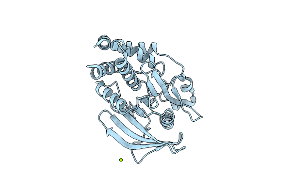 7LFO image