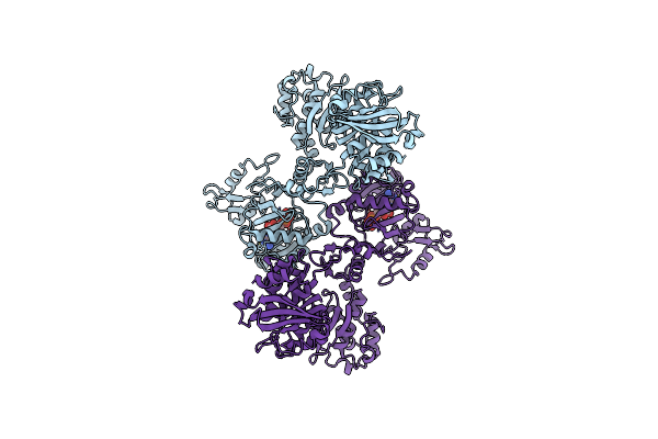 7LGM image