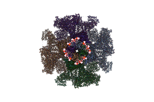 7LHE image