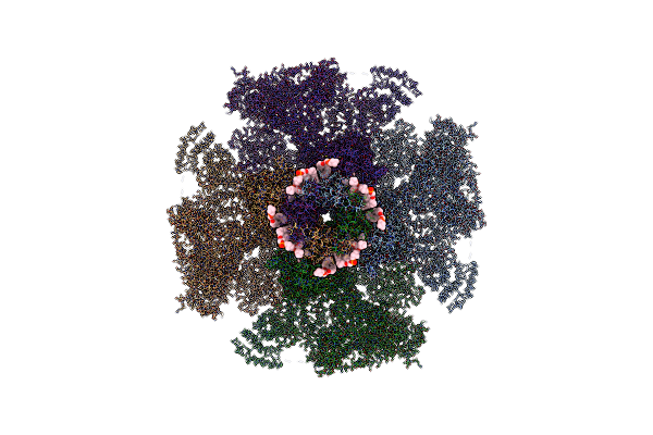 7LHF image