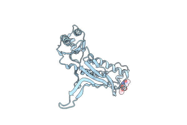 7LIJ image