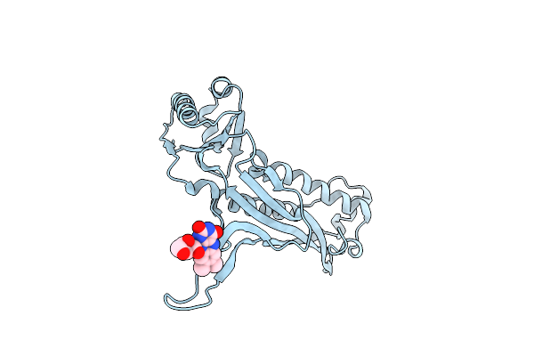 7LIM image