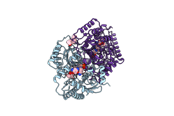 7LLD image