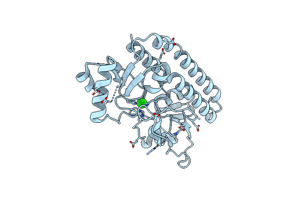 7LM7 image