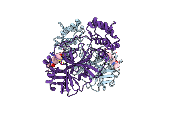 7LME image