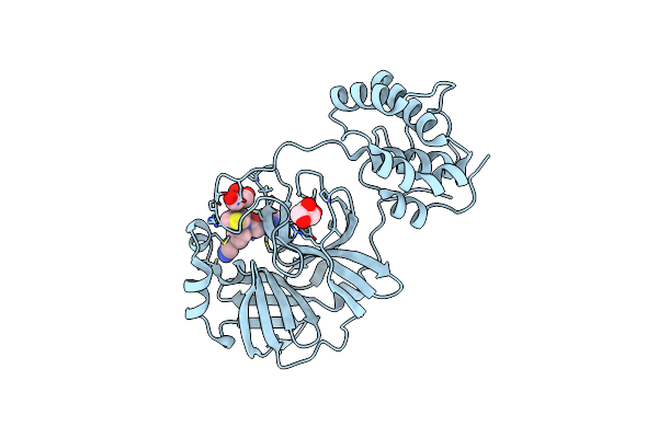 7LMI image