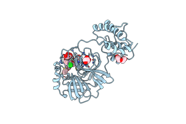 7LMJ image