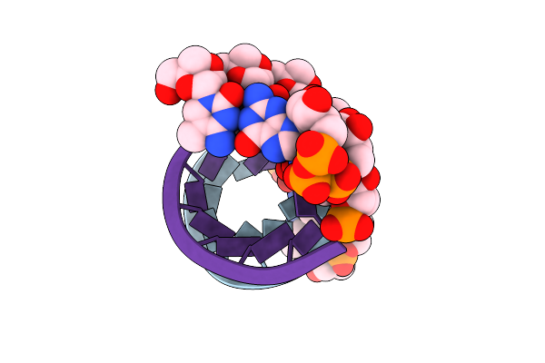 7LNG image
