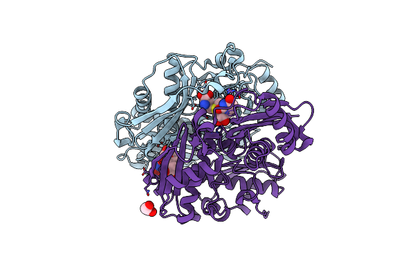 7LNH image
