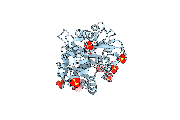 7LNO image