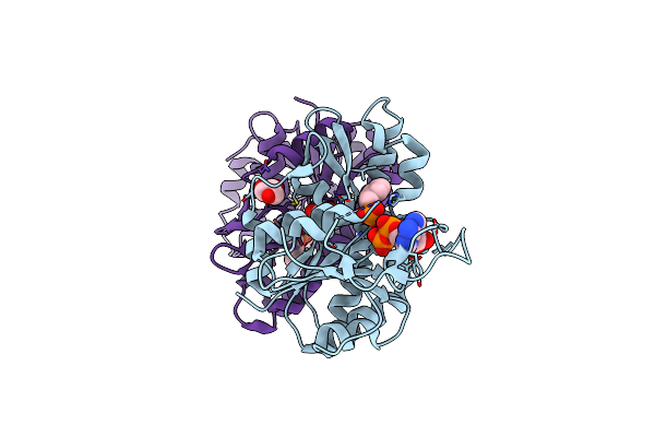 7LNT image