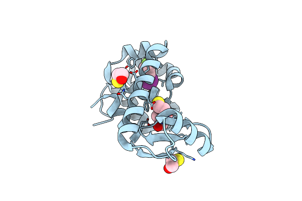 7LOD image