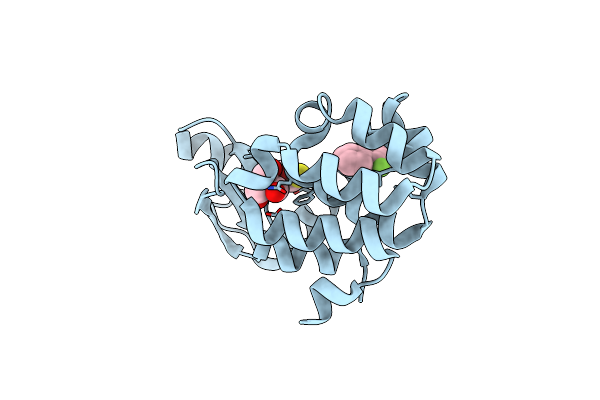 7LOE image