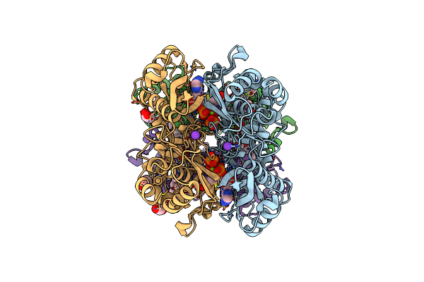 7LOO image