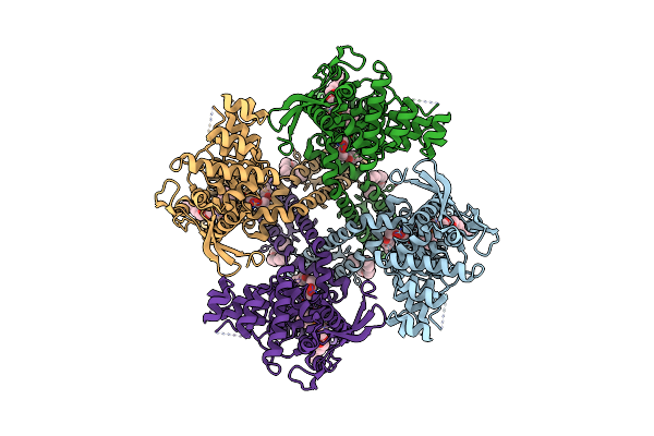 7LPE image