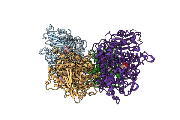 7LPP image