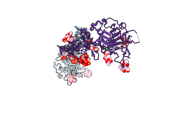 7LRF image