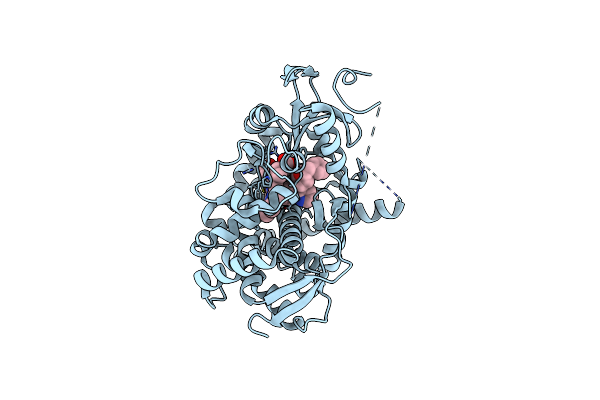 7LRL image