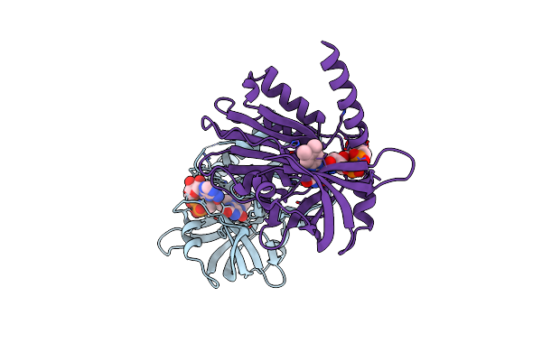 7LRN image