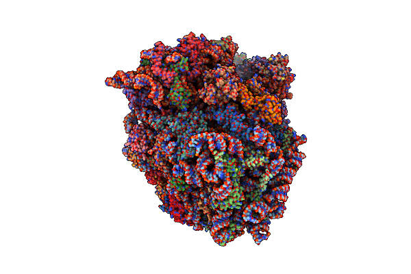7LS2 image