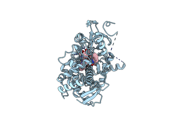 7LS4 image