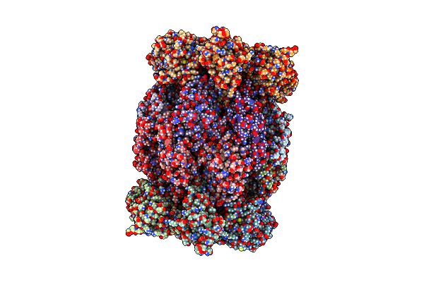 7LS5 image