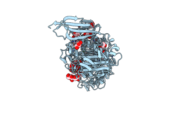7LSA image